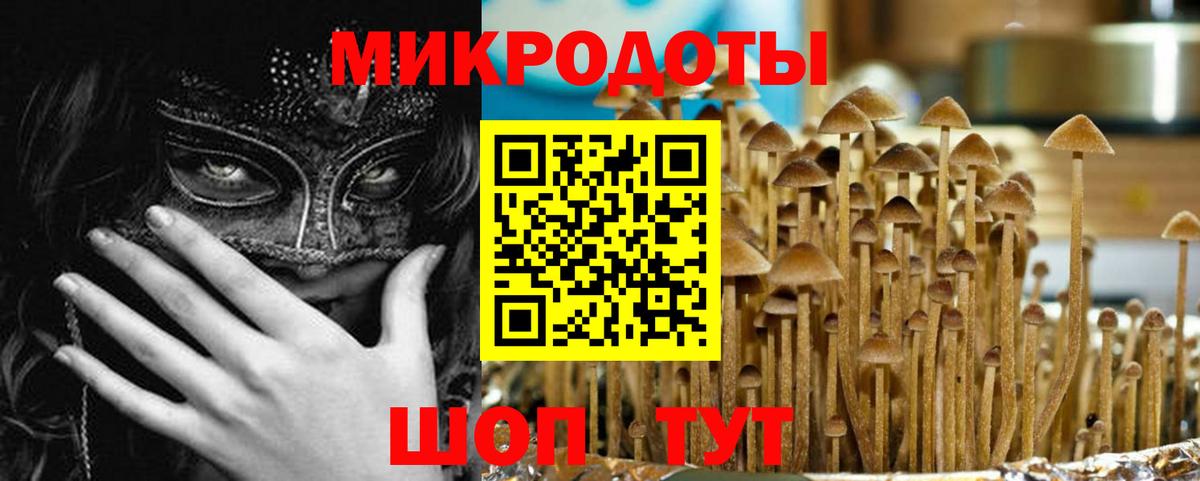 Тула  Псилоцибиновые грибы Cubensis  что такое наркотик  Вход с VPN 